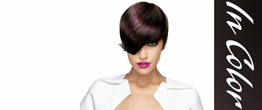 Hair Salon «In Color Salons», reviews and photos, 13551 Will Clayton Pkwy, Humble, TX 77346, USA