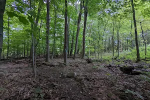 Alexander Road Trailhead image