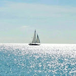 Photo n°1 de l'avis de Grace.. fait le 16/08/2021 à 16:43 sur le  Bar the Molo Ranco à Ranco