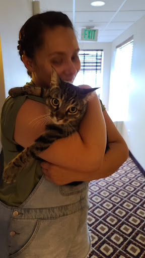 Larkspur Landing Sunnyvale image