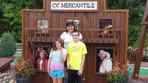 Movie Theater «Silver Lake Drive In Theatre», reviews and photos, 7037 Chapman Ave, Perry, NY 14530, USA