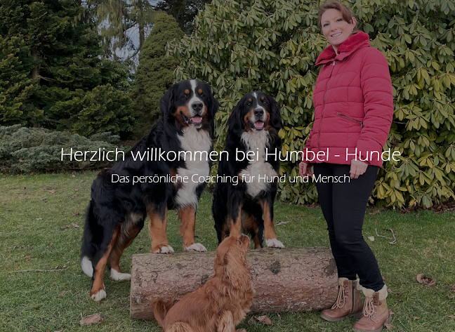 Hundeschule Humbel Hunde