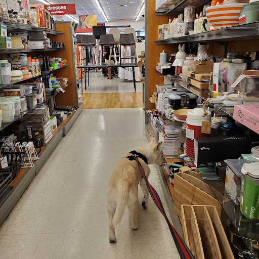 Department Store «T.J. Maxx», reviews and photos, 7555 W Hillsborough Ave, Tampa, FL 33615, USA