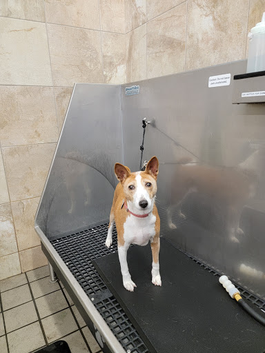 Pet Supply Store «Pet Supplies Plus», reviews and photos, 4250 N Alafaya Trail #240, Oviedo, FL 32765, USA