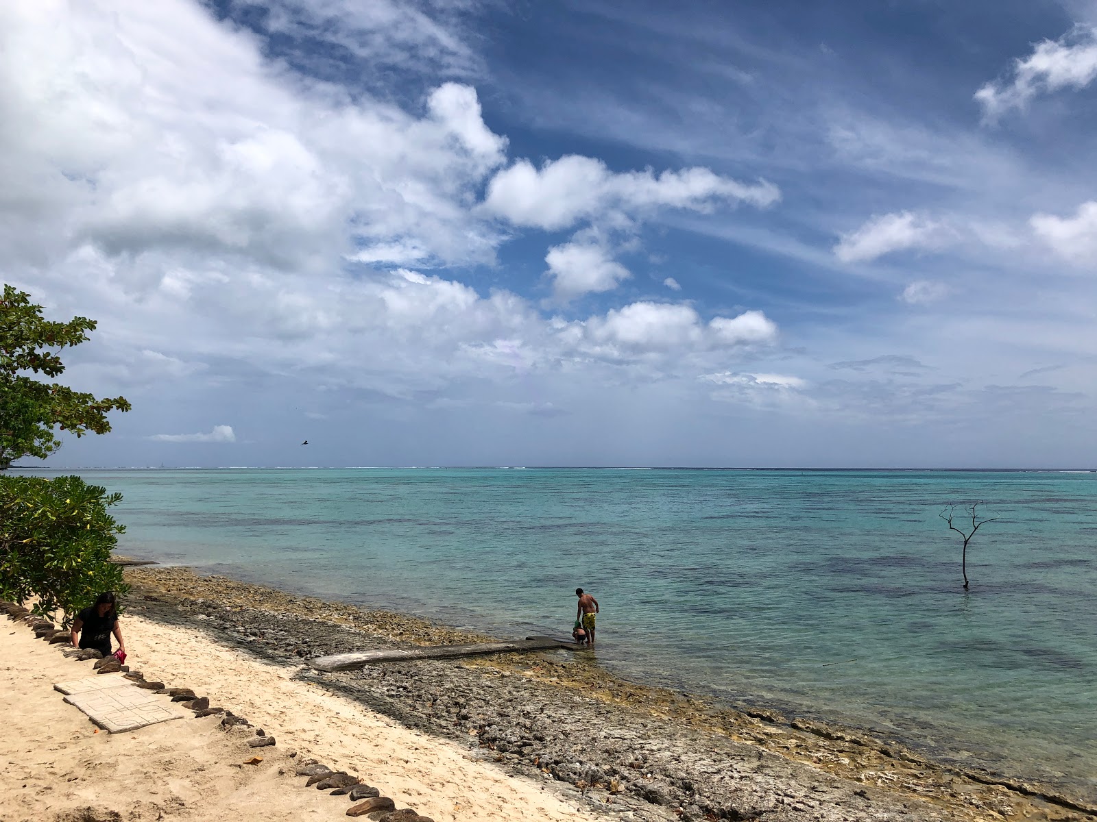 Foto di Pineapple Beach con una superficie del acqua cristallina