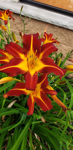 Storage Facility «Extra Space Storage», reviews and photos, 235 N Beacon St, Brighton, MA 02135, USA