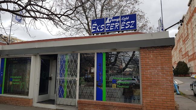 Pongi Gold 2002 Kft.
