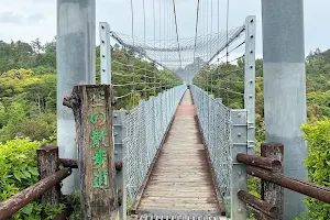 Shizuoka Prefectural Forest Park image