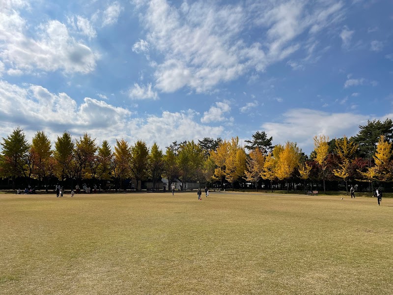 小瀬スポーツ公園 芝生広場
