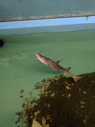 Aquarium «Biomes Marine Biology Center», reviews and photos, 6640 Post Rd, North Kingstown, RI 02852, USA
