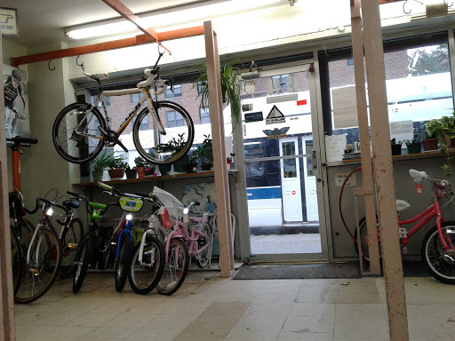 Bicycle Store «Kissena Bicycle Center», reviews and photos, 4570 Kissena Blvd, Flushing, NY 11355, USA