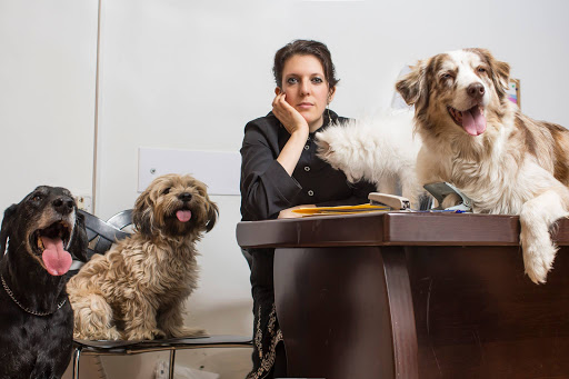 סיון רובין נוה, עו״ד לזכויות בעלי חיים ובעליהם