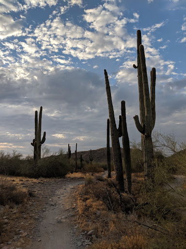 South Mountain Park and Preserve