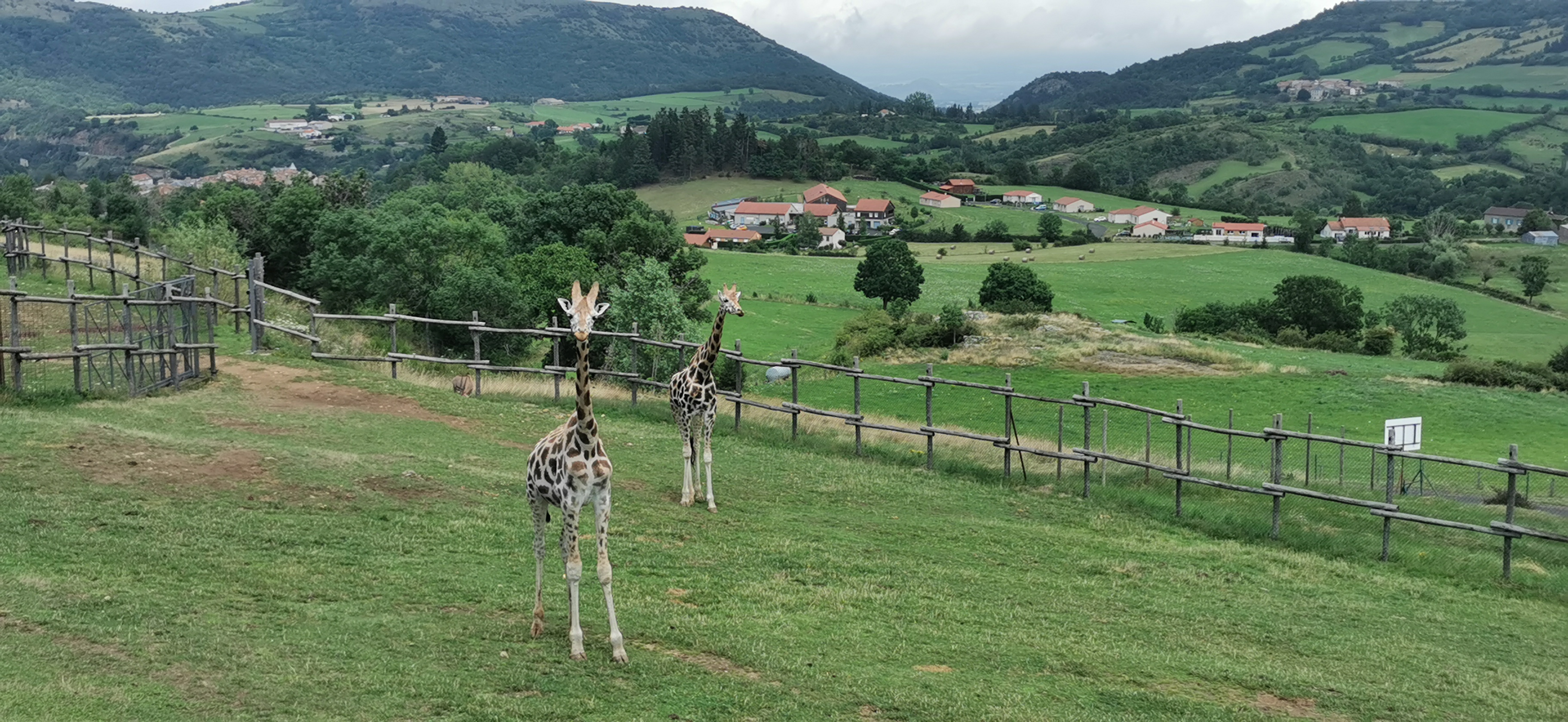 Photo n° 9 de l'avis de Nita. fait le 24/07/2021 à 17:55