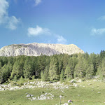 Photo n°9 de l'avis de Dario.p fait le 22/09/2021 à 16:25 sur le  Malga Cason di Lanza / Lanzer Alm /Lance à Paularo