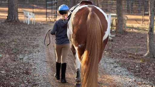 Charlotte Equestrian Club