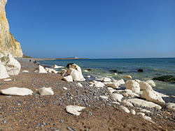 Newhaven beach'in fotoğrafı uzun koy ile birlikte
