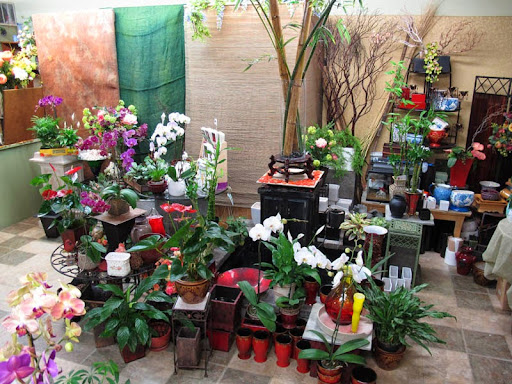 Florist «Westmoor Florist», reviews and photos, 1225 S Mary Ave, Sunnyvale, CA 94087, USA