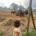 Photo n°4 de l'avis de Mariachiara. fait le 15/10/2023 à 15:52 sur le  Le scuderie della tenuta à Caiazzo