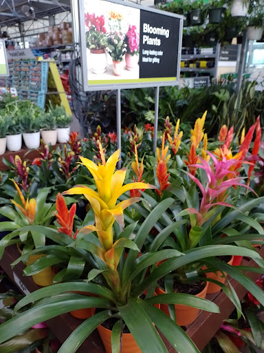 Home Improvement Store «The Home Depot», reviews and photos, 14000 Georgia Avenue, Aspen Hill, MD 20906, USA