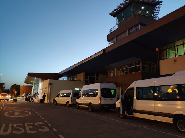 Opiniones de Transfer Aeropuerto Valdivia en Valdivia - Servicio de transporte