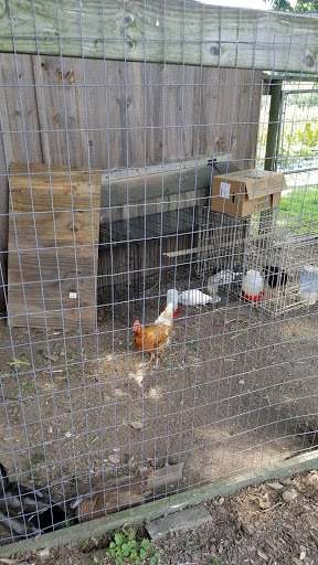 Produce Market «Highland Orchards Farm Market», reviews and photos, 1431 Foulk Rd, Wilmington, DE 19803, USA