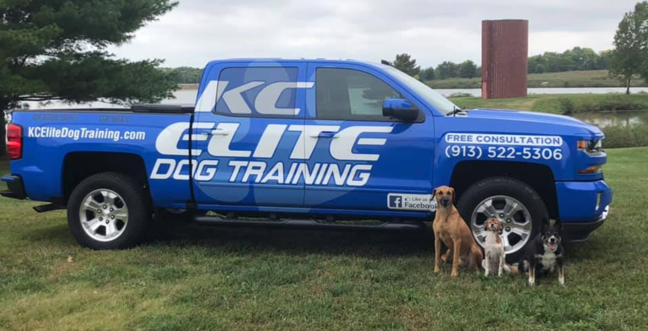KC Elite Dog Training