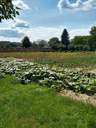 Photo n°14 de Monastère Notre-Dame-de-Protection à Bussy-en-Othe ()