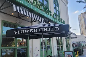 Flower Child image