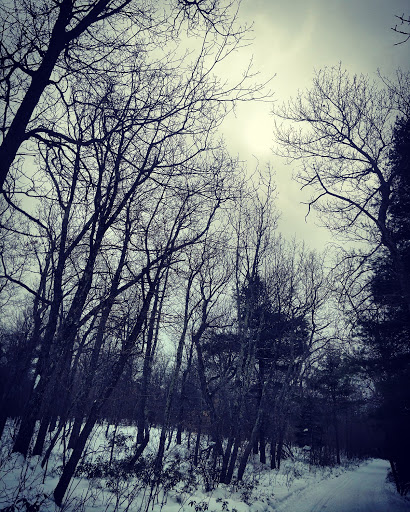 Ski Resort «High Point Cross Country Ski Center», reviews and photos, 1480 NJ-23, Sussex, NJ 07461, USA