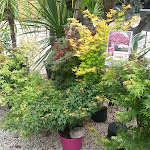 Photo n° 2 de l'avis de rob.a fait le 13/05/2023 à 10:53 pour Jardins brevinois à Saint-Brevin-les-Pins