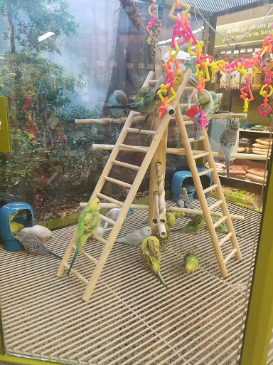 Pet Supply Store «Petco Animal Supplies», reviews and photos, 28400 Dequindre Rd, Warren, MI 48092, USA