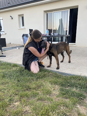 Dogaction Educateur Canin 36 à Niherne