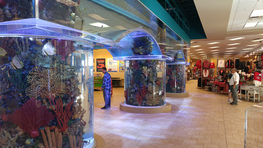 Sporting Goods Store «SCHEELS», reviews and photos, 11282 State St, Sandy, UT 84070, USA