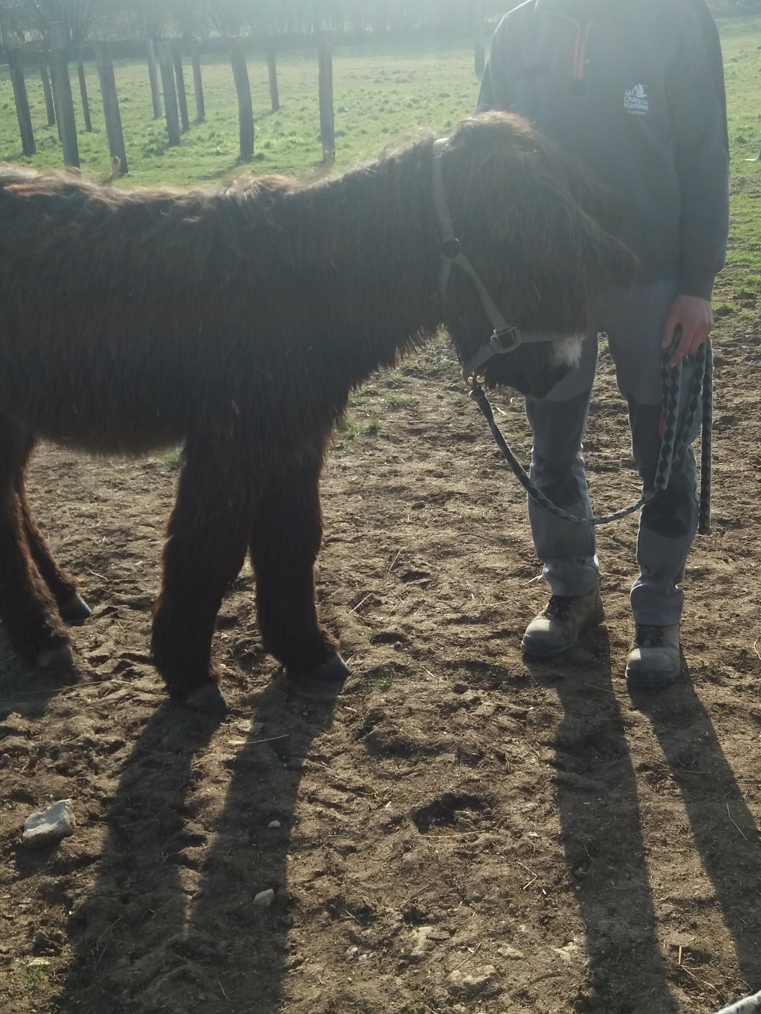 Photo n° 1 de l'avis de Jenny.n fait le 20/02/2019 à 17:34