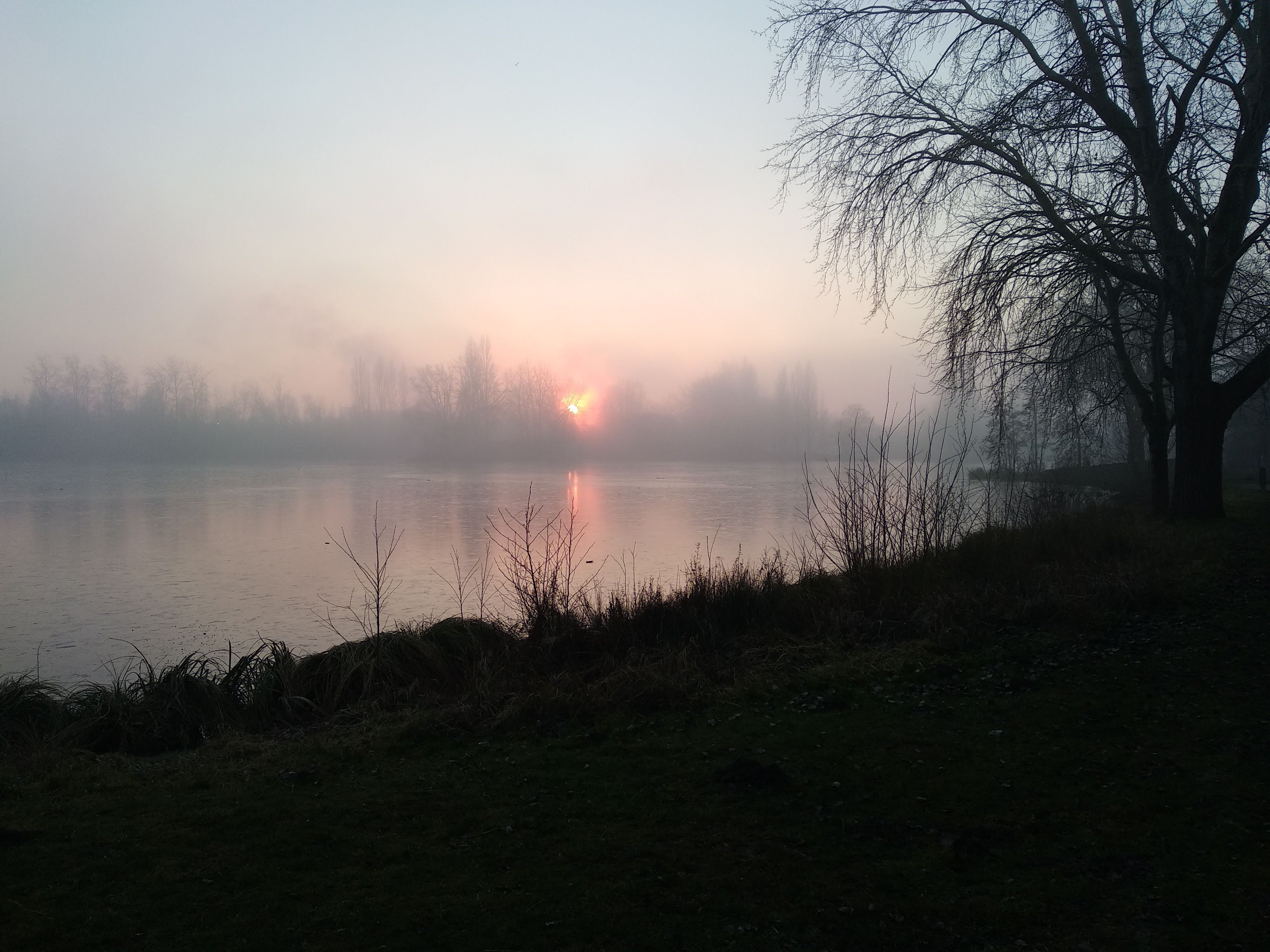 Photo n° 1 de l'avis de Michel.a fait le 10/01/2021 à 18:20