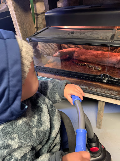 Zoo «Kansas Wildlife Exhibit», reviews and photos, 600-630 Nims N, Wichita, KS 67203, USA