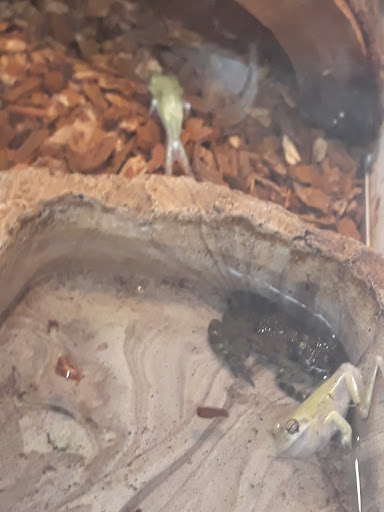 Pet Supply Store «Pet Supplies Plus», reviews and photos, 5555 Youngstown Warren Rd, Niles, OH 44446, USA