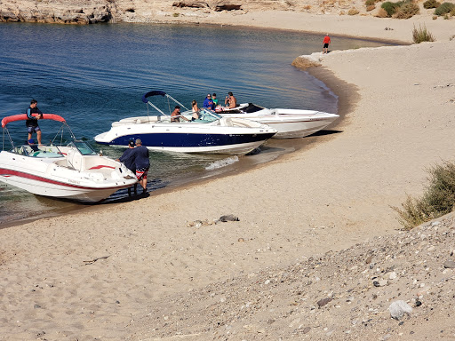 Non-Profit Organization «St. Judes Ranch for Children», reviews and photos