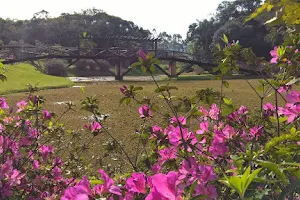 Jardim botânico image