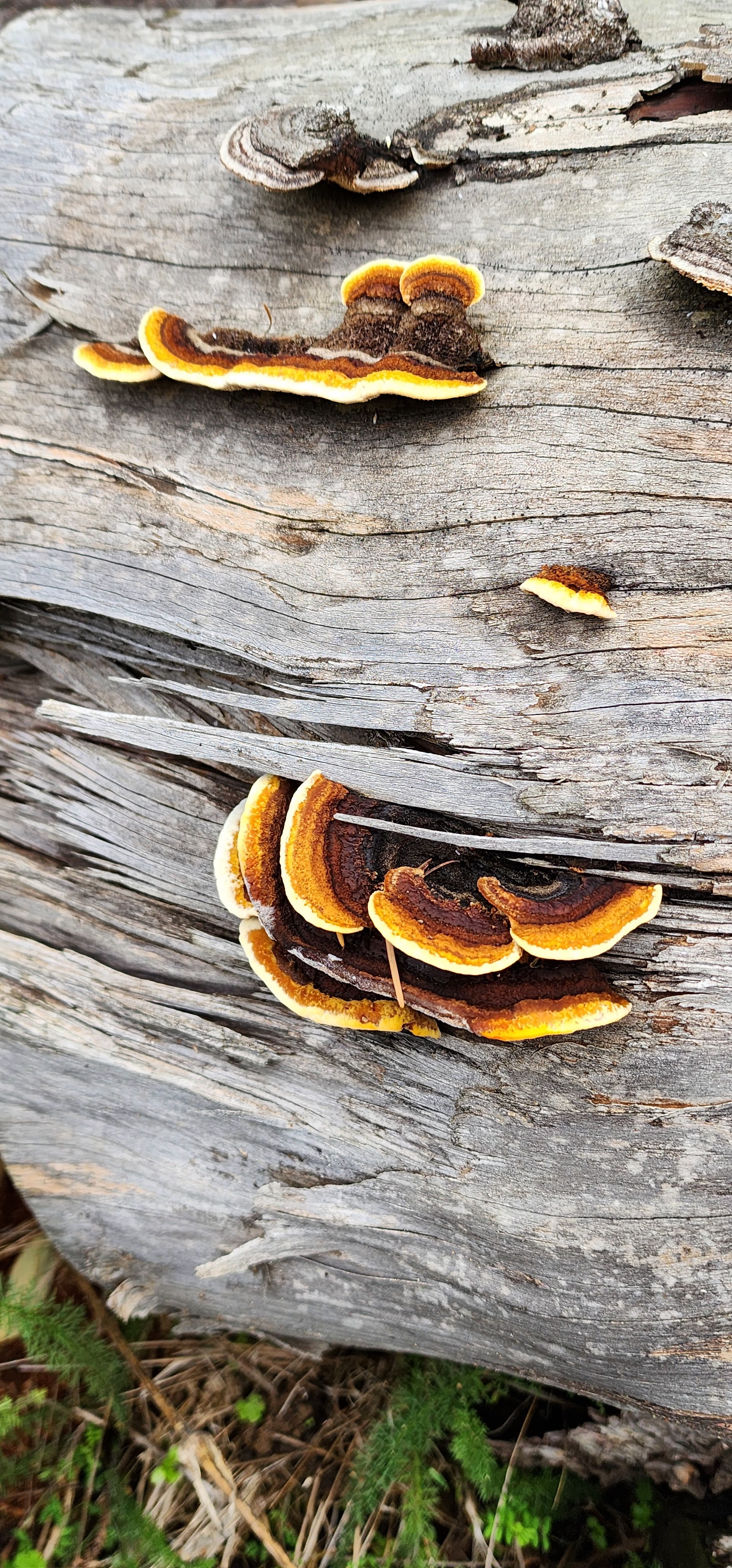 Photo n° 7 de l'avis de Angie. fait le 04/11/2022 à 06:49