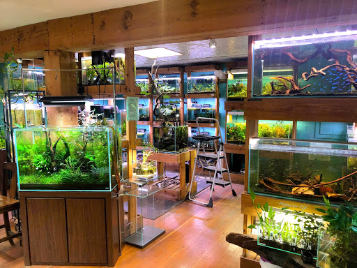 Tropical Fish Store «Aquarium Zen», reviews and photos, 920 NE 64th St, Seattle, WA 98115, USA