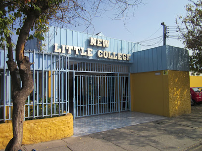 New Little College