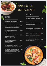 Soupe du Restaurant vietnamien Restaurant Pink Lotus à Villeneuve-Loubet - n°12