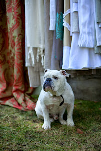 HITE HOUSE - Home Furnishings & Design Services - Photo 6 - Car repair in Kalamazoo, MI, Kalamazoo