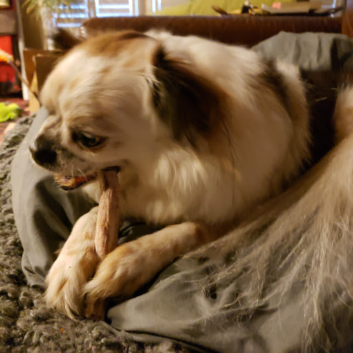 Pet Supply Store «Incredible Pets», reviews and photos, 392 Florin Rd, Sacramento, CA 95831, USA