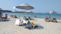 Kefken plaji'in fotoğrafı ve yerleşim