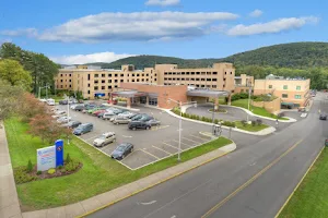 Guthrie Lourdes Hospital image