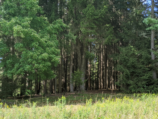 Museum «Dorflinger Glass Museum», reviews and photos, 37 Suydam Dr, White Mills, PA 18473, USA