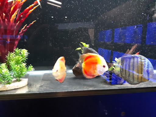 Aquarium «Aquatica», reviews and photos, 800 Clanton Rd H, Charlotte, NC 28117, USA